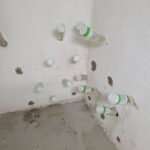 Bilder-vor-Ort--(26)