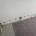 Bilder-vor-Ort--(27)