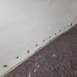 Bilder-vor-Ort--(29)