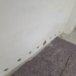 Bilder-vor-Ort--(30)
