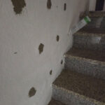 Bilder-vor-Ort--(34)